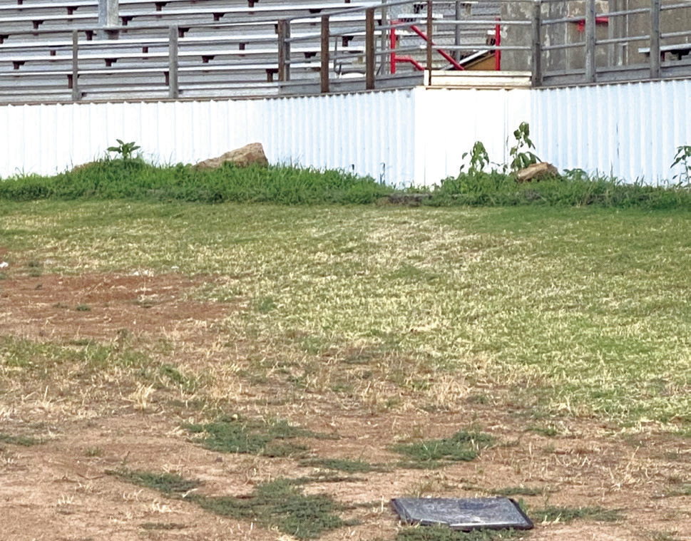 The fenceline needs cleared and grounds worked for the 2023 IFYR. Photo provided