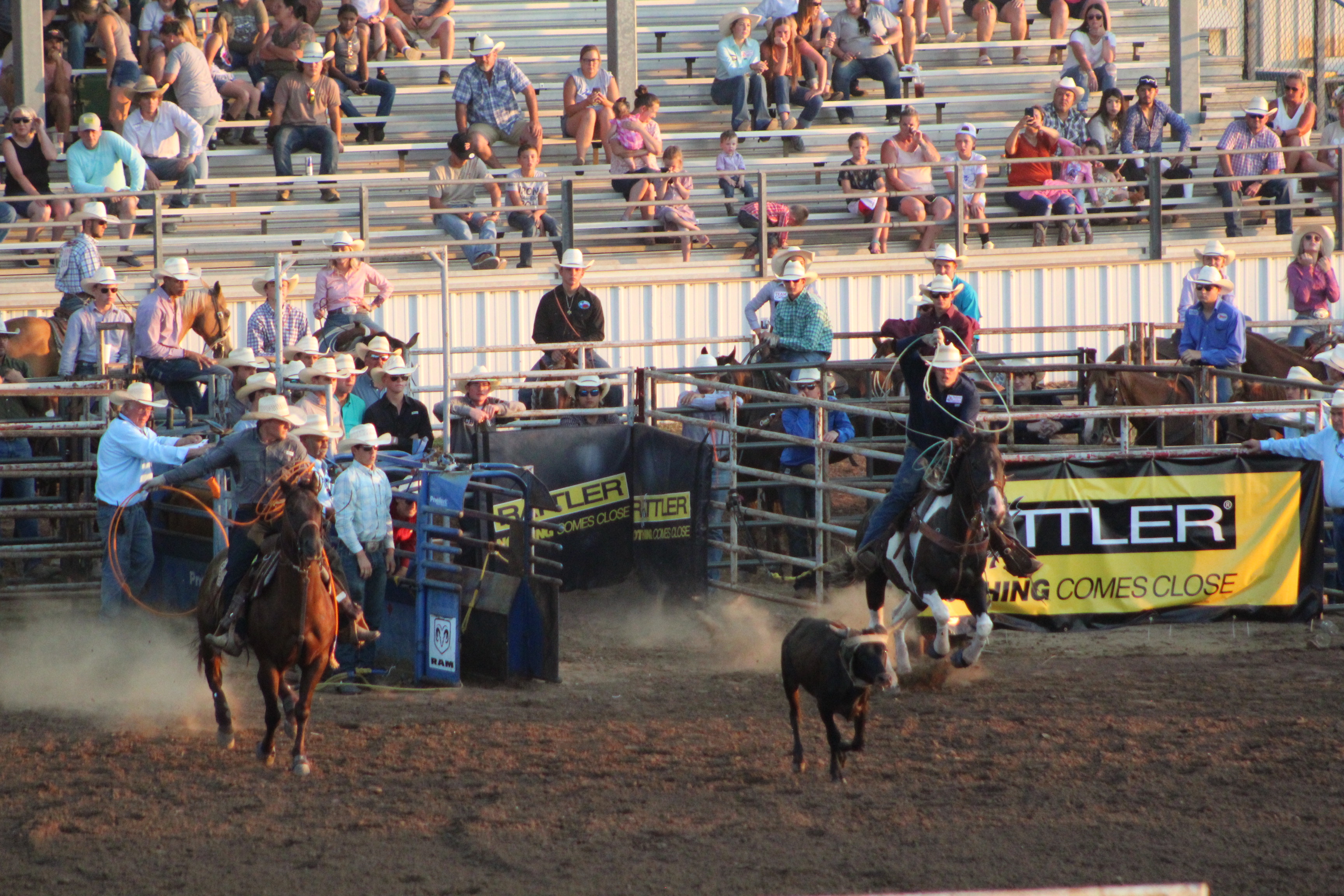 IFYR 2022