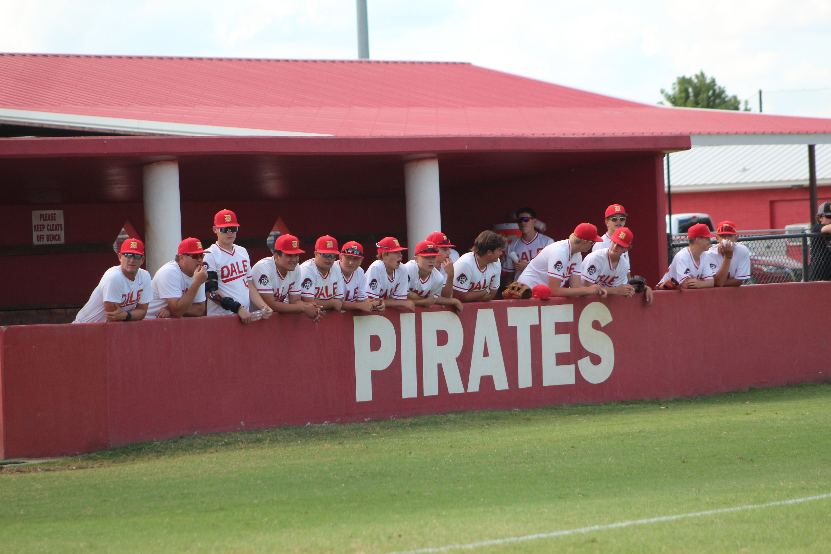 Dale Baseball Pirates