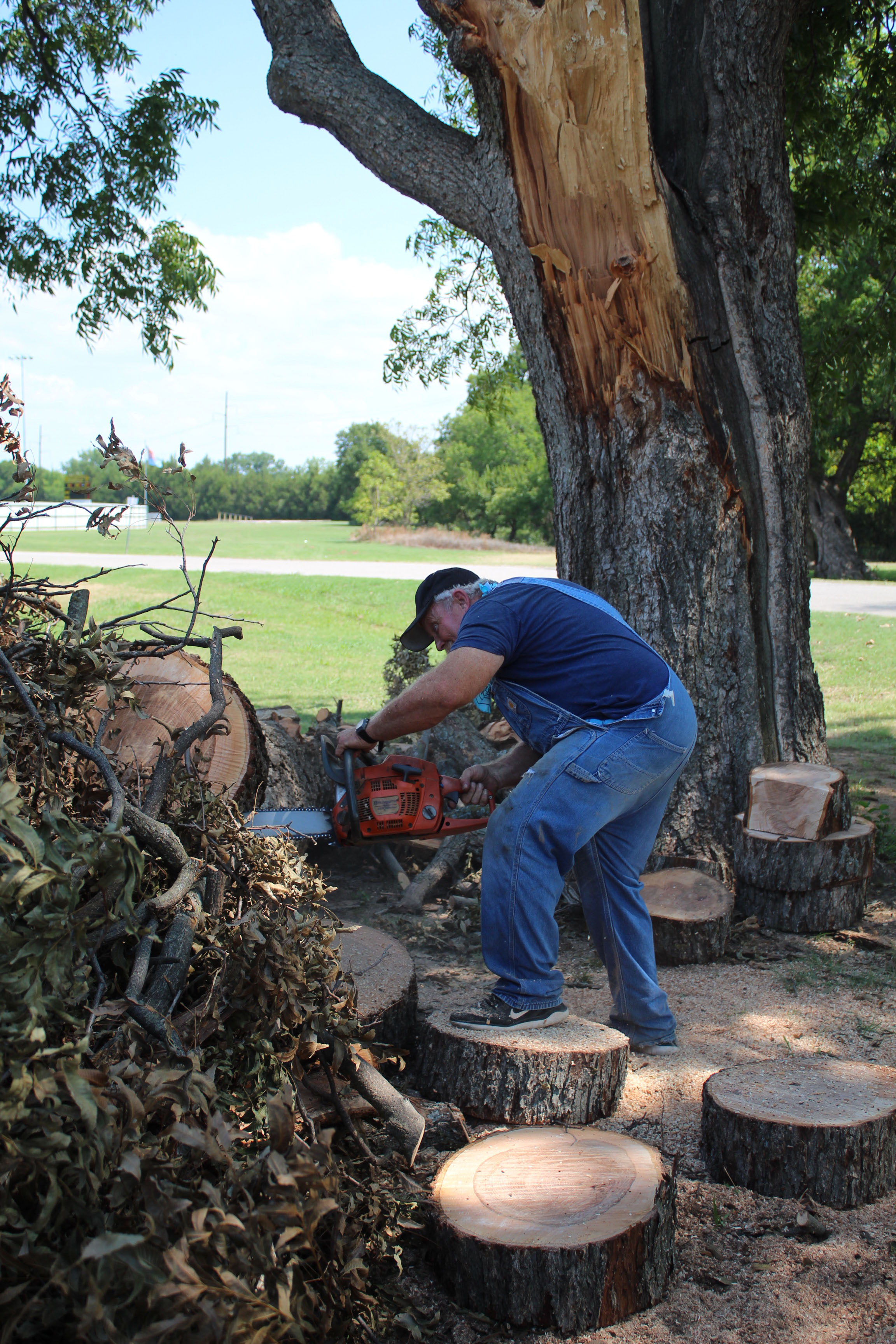 Principal Randy Dilbeck works to cut up and remove a branch from a century-old pecan tree on the high school grounds.
