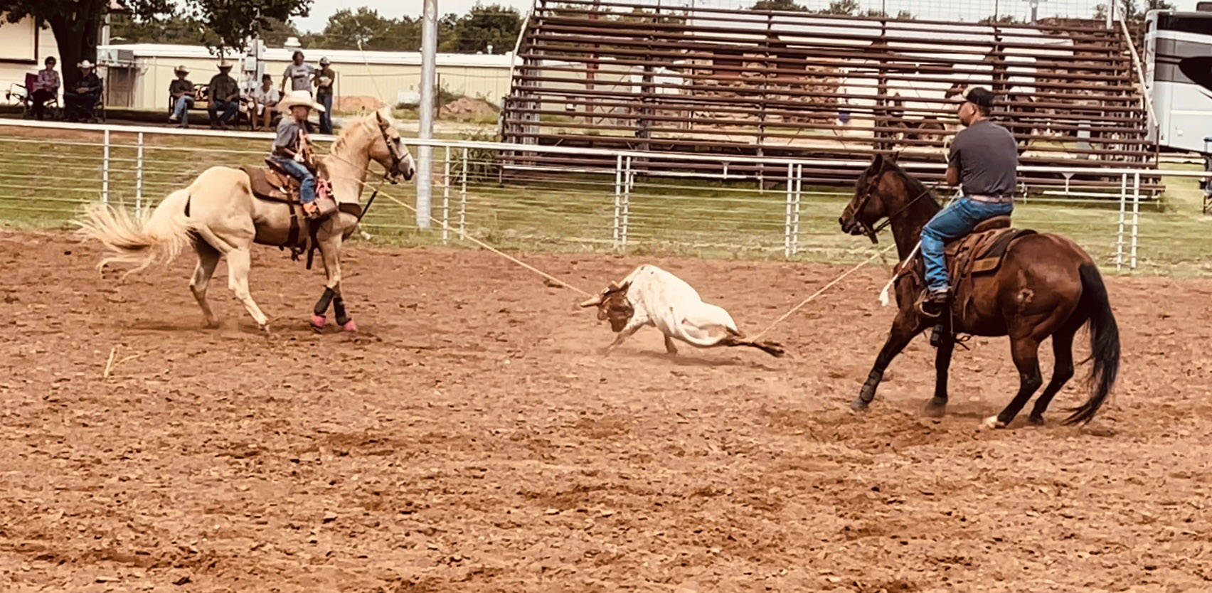  Ransom Parsons, 7, and his father Montana Parsons of Earlsboro work together to rope a steer during the COJRA rodeo in Perry, OK, on July 15. Ransom's mother, Shelby Parsons, said he won first in the 10-13 Heading division both days of the rodeo. Photo provided.