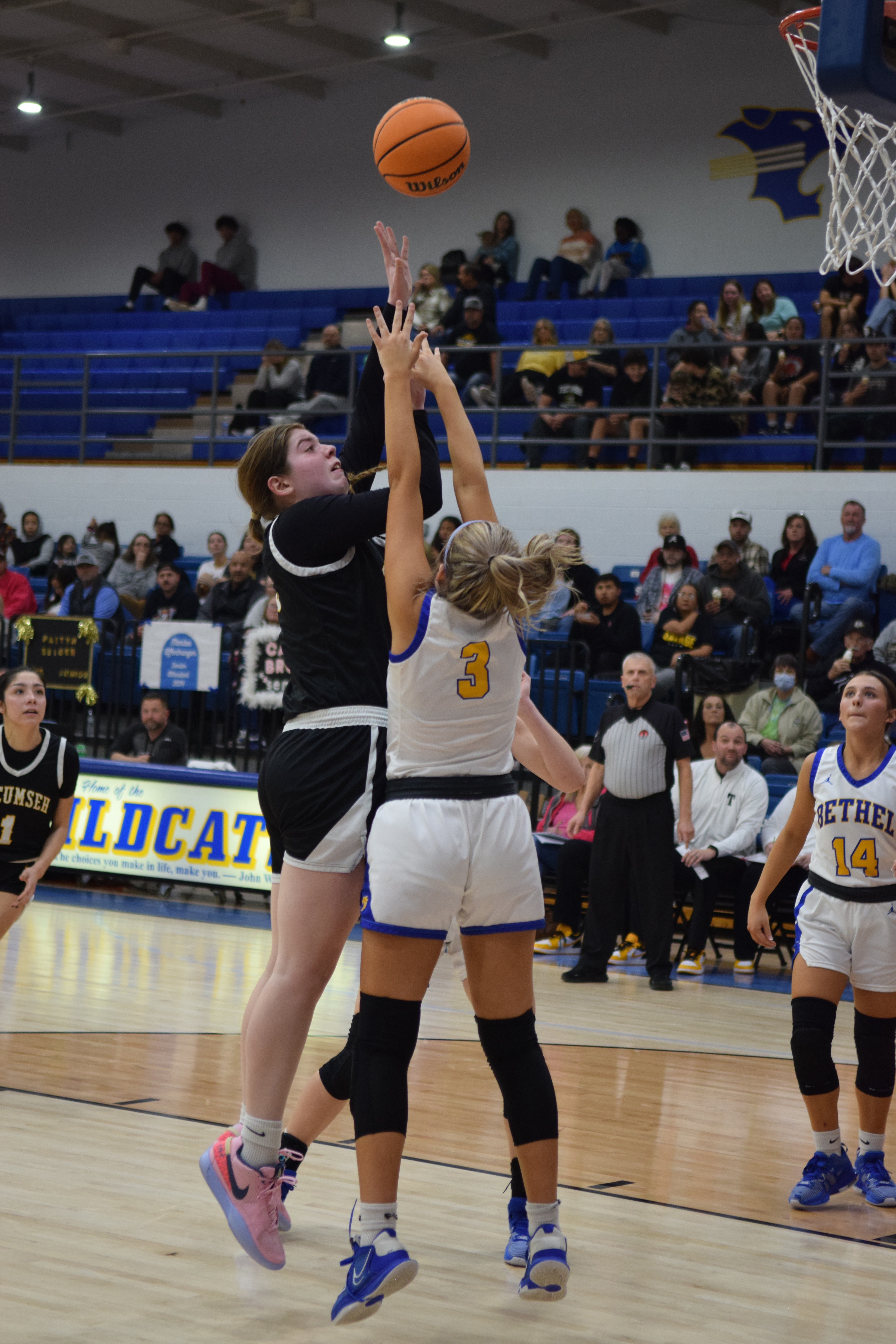 Tecumseh's Reagan Berry shoots for two to close the gap in the game against Bethel on Feb. 2nd.  The Savages fought back for the win 46-43. Countywide & Sun/Julie Talton