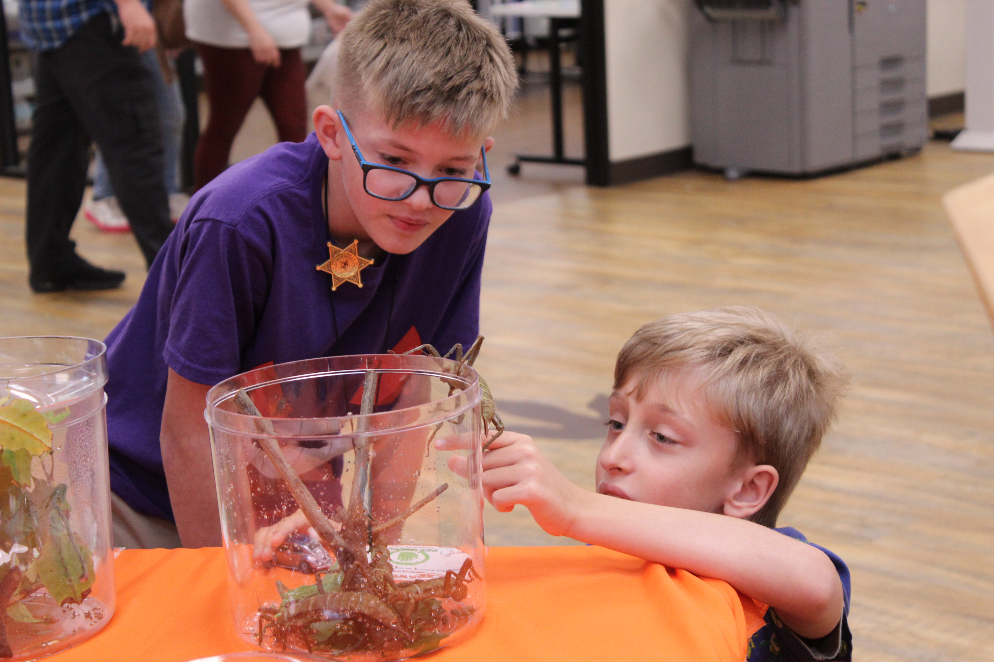 Jackson Rowell, 12, and Gavin Heath, 10, both of Norman, study a Thorny Devil Walkingstick, which was part of the OSU Extension Insect Adventure during Bugfest at the Shawnee Public Library on May 30. The annual event is part of Health Week and also featured the Okies for Monarchs booth, honey tasting, an opportunity to try fried mealworms and several organization booths. Photos by Natasha Dunagan, Countywide & Sun