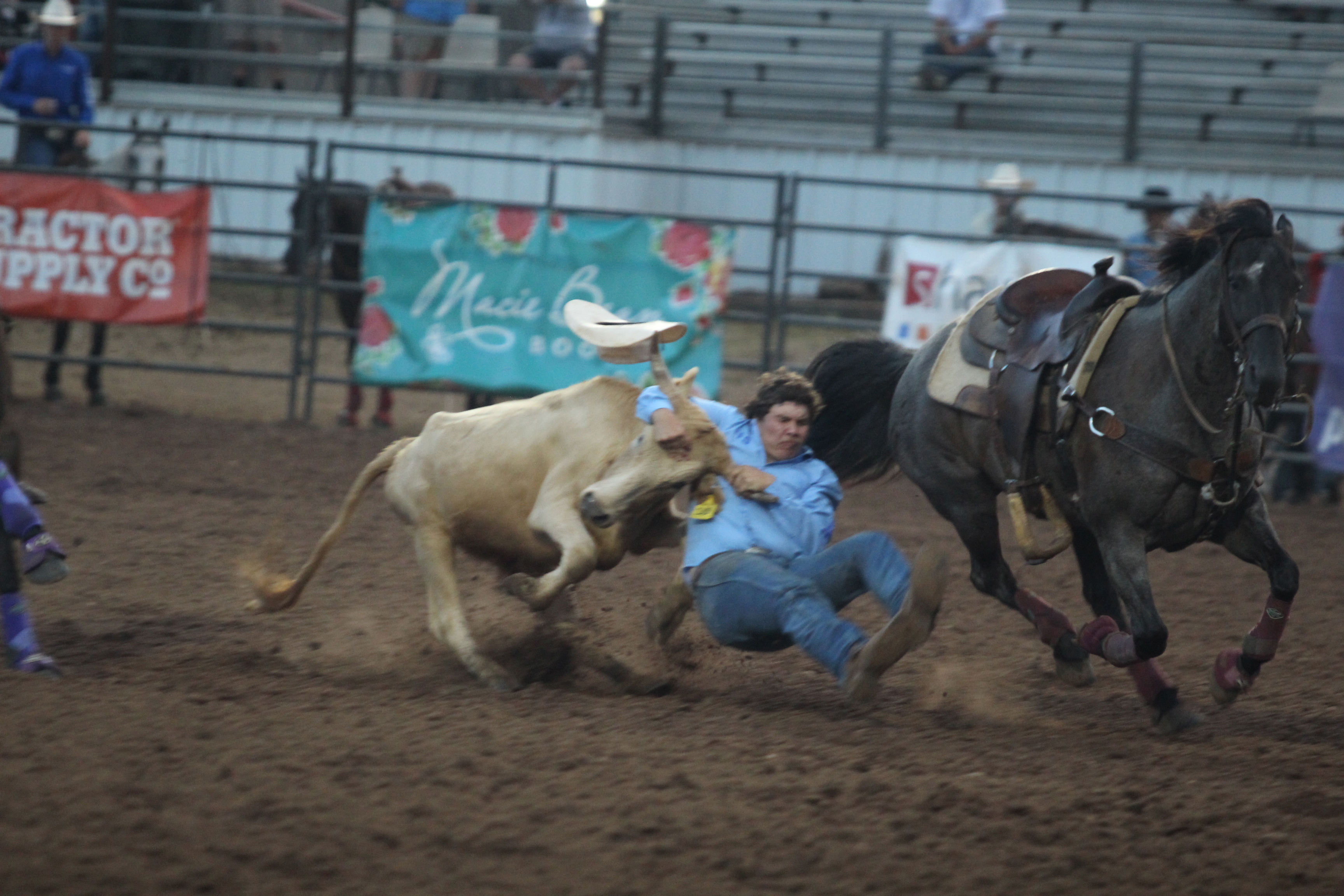 Dally Trussell of McLoud got his steer wrestled in 6.6 seconds during the IFYR championship round on the evening of July 17. Trussell took seventh place in the the event.