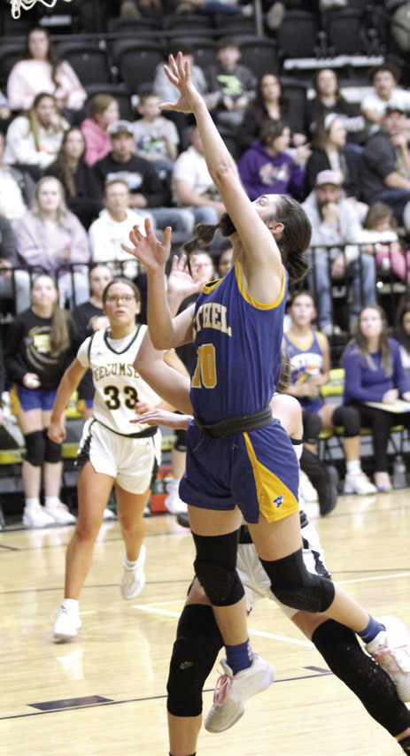 Tecumseh Lady Savages lose to county rivalries