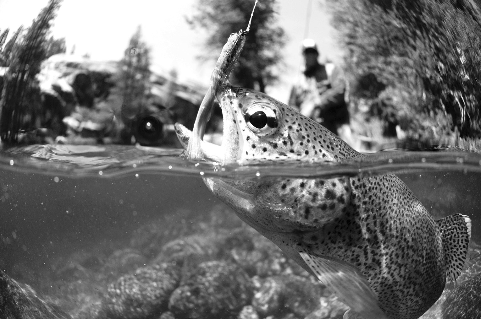 Fishing Report