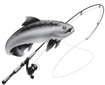 Fishing Report