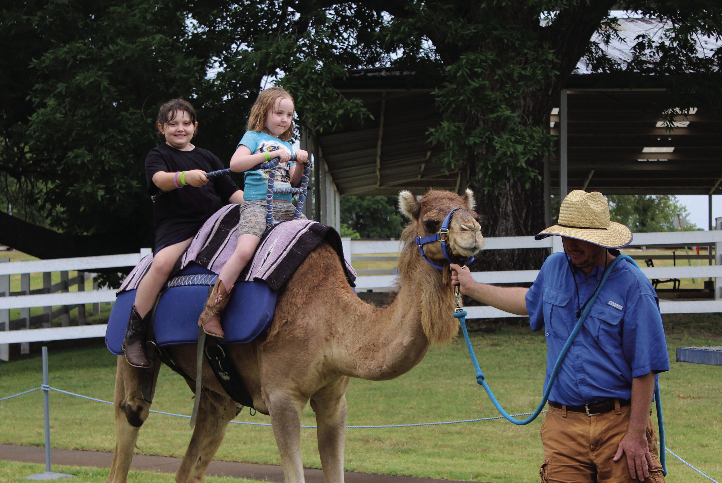 Elizabeth Stowe, 9, and Megan Stowe, 5, of Tecumseh, ride on Sally the Camel, led by Jesse Malchow, of Camels Unlimited in Adair, during the FireLake Fireflight Balloon Festival on Aug. 10. Camel rides were a new addition to the Kids' Zone this year. Countywide & Sun/Natasha Dunagan