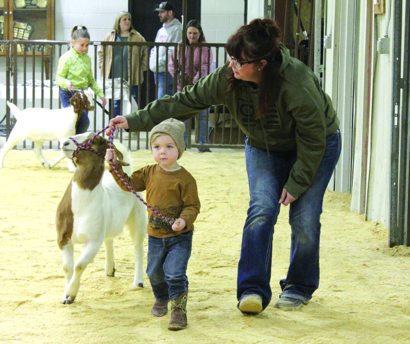 As the youngest exhibitor, Lane Nagy and an adult helper show a goat in the Peewee Showmanship of the Tecumseh 4-H and FFA Local Livestock Show, Feb. 17. Also shown is Evelyn Franks. Countywide & Sun/Natasha Dunagan