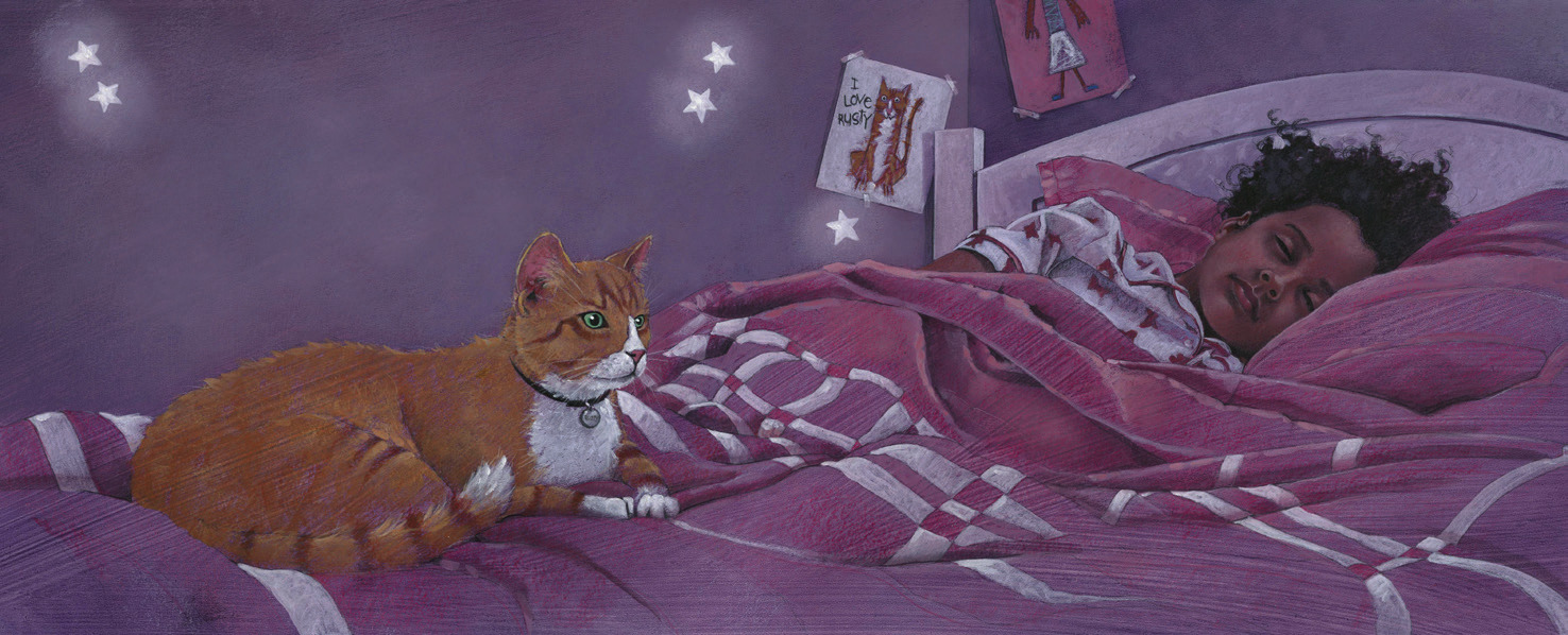 Cat in the Night by Joshua Brunet. Photo provided