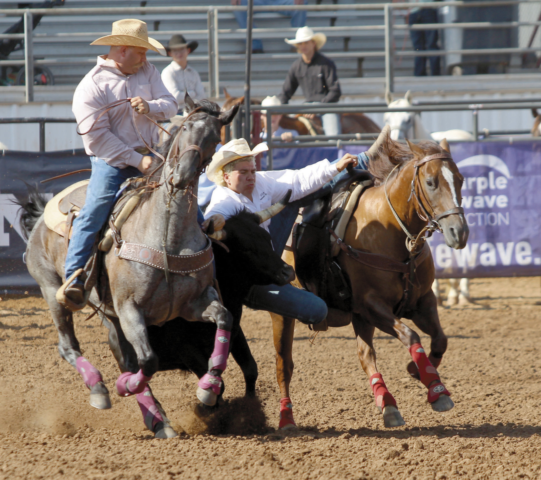 Dally Trussell of McLoud dismounts his horse during the steer wrestling event of the IFYR on July 11. Trussell competed in the National High School Finals Rodeo, July 13-19, as the Oklahoma High School Rodeo Association Champion Steer Wrestler. After three rides, his average was 18.69 seconds placing him second in the aggregate. Photos by Natasha Dunagan, Countywide & Sun