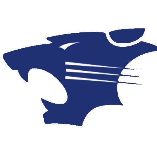 Bethel Girls And Boys Powerlifters Medal In Regionals