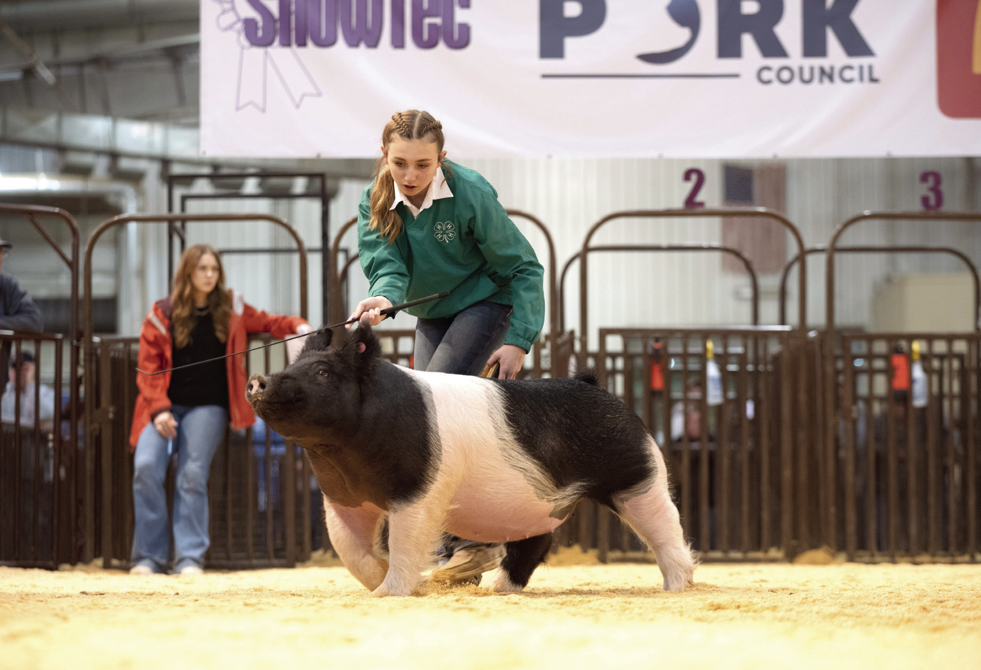Tecumseh’s Kensley Whittington shows her swine in the Oklahoma Youth Expo earlier this month. Whittington earned Supreme Champion Commercial Gilt in this year’s show. Photo provided by OYE.