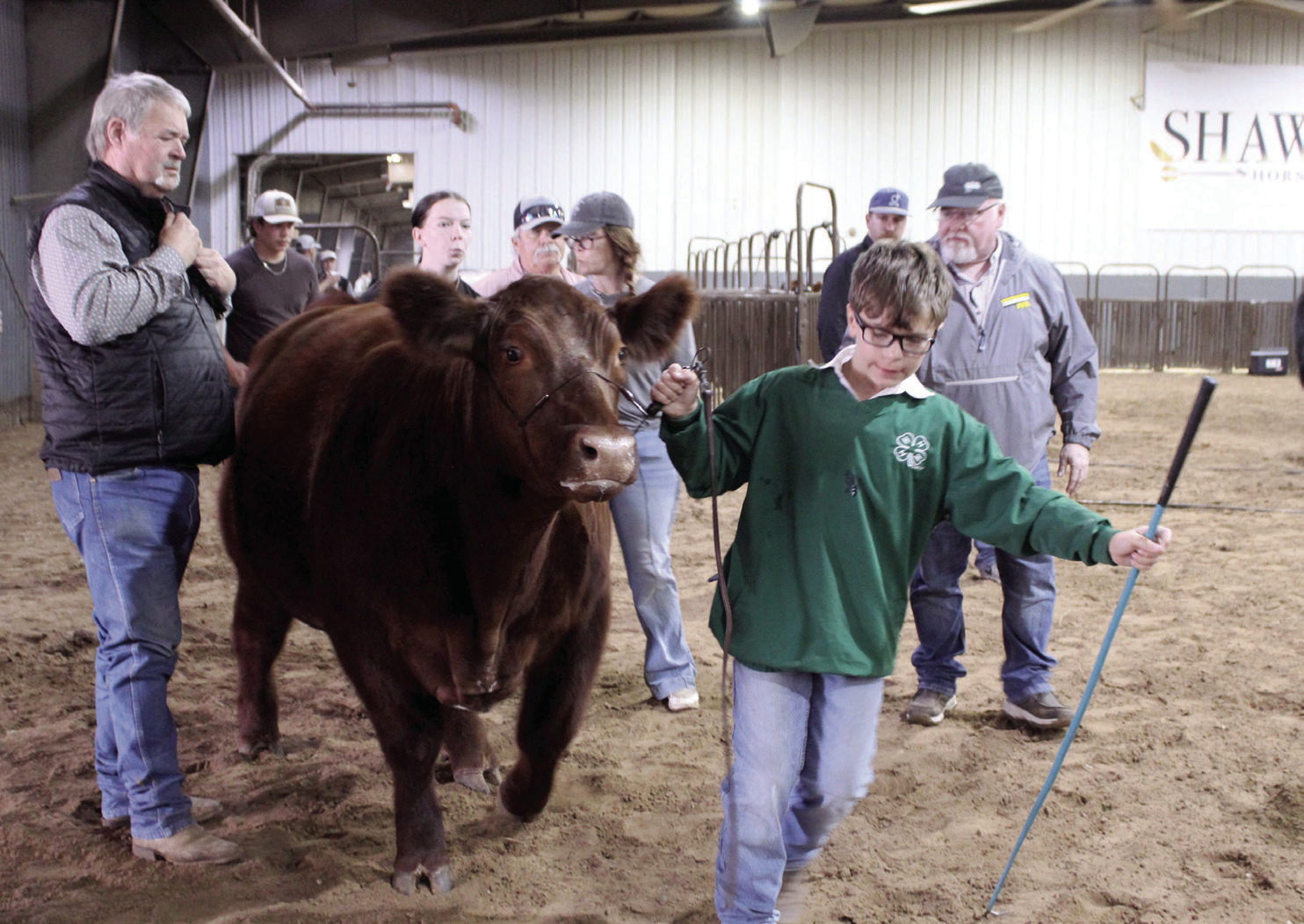 Jimmie Spears of Tecumseh 4-H leads his Market Steer into the show ring during the Pottawatomie County Junior Livestock Show Beef Show on Feb. 25. Spears won in Class 2 Market Steers, and Taycie Baker of Bethel 4-H won in Class 1 Market Steers. Photos by Natasha Dunagan, Countywide & Sun. Click on the camera banner ad below to see all the photos from the PCJLS!