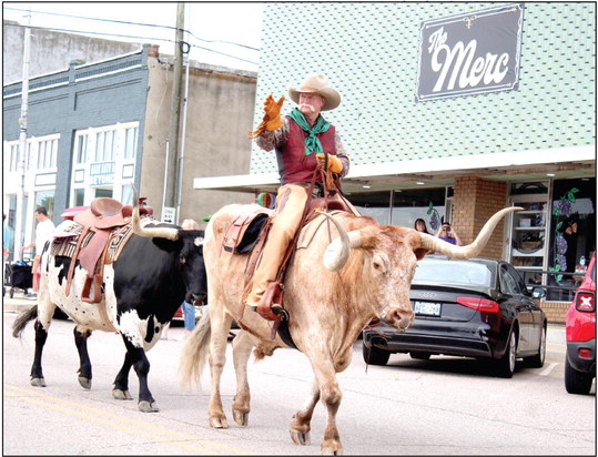 Roger Straka waves from his Longhorn bull, followed by another, in the McLoud Blackberry Festival parade on July 8. Countywide &amp; Sun/Natasha Dunagan