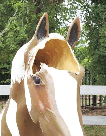 Horse Damaged By Unidenti ed Man