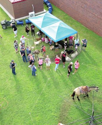 The petting zoo and pony rides are seen from above. Photo provided by Cathy Condit.