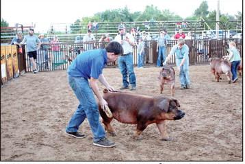 Ian Morris, of Yukon, shows his Duroc pig as Chris Hofschulte speaks about the pig’s bone structure during Showdown Morris won Fifth Overall at the event.