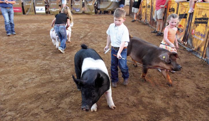 Three young exhibitors compete in Peewee Showmanship, which is for second grade and under, at the Third Annual T-Town Showdown, held at the Tecumseh Round-Up Club on Aug. 24. Countywide &amp;amp; Sun/ Natasha Dunagan