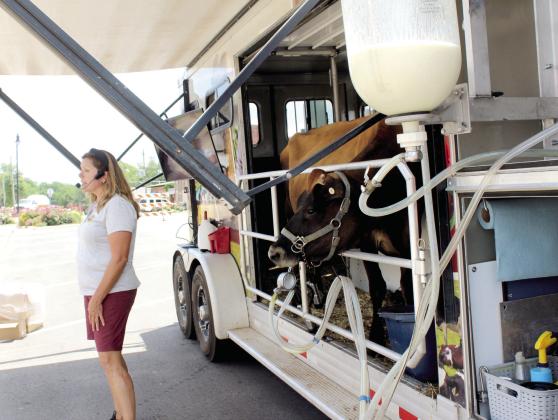 Suzie Reece, with the Southwest Dairy Farmers Mobile Dairy Classroom, speaks about the dairy industry, cows and dairy foods, as Dixie the 3-year-old Jersey fills up a jar with her milk. West Washington Street was partially blocked off for the Tecumseh Public Library program on June 26. Cups and coloring books were provided. After the program, attendees could enjoy free Peachwave Yogurt, paid for by Tecumseh Friends of the Library and Tinker Federal Credit Union. Natasha Dunagan, Countywide &amp; Sun