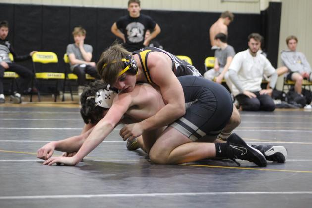 Maddox Anderson