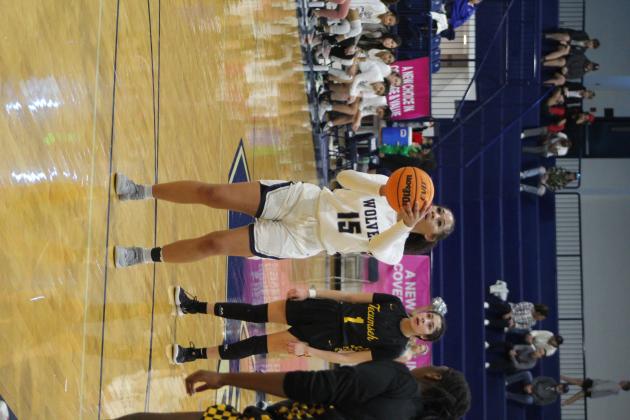 Tristyn Napier