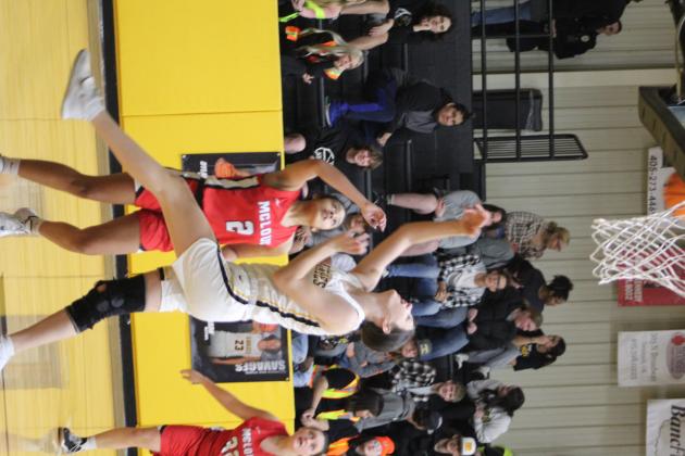Tecumseh basket