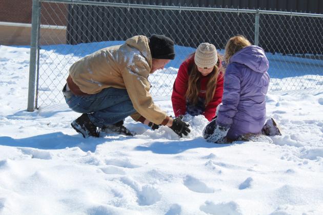 Dodgions Try to Make a Snowman