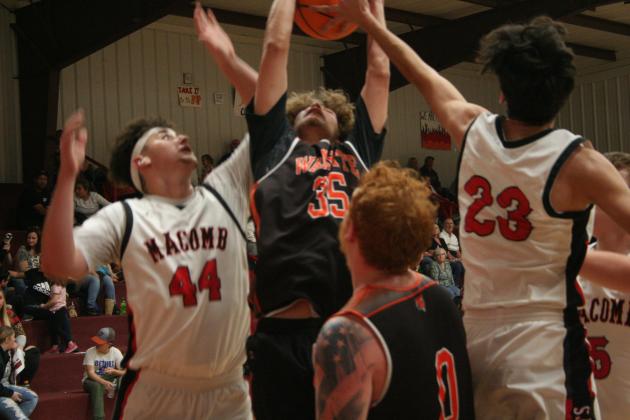 Macomb Hornets/Wanette Tigers