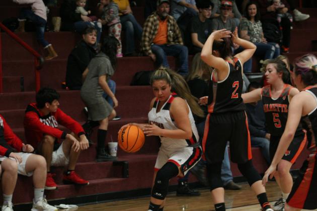 Macomb Lady Hornets