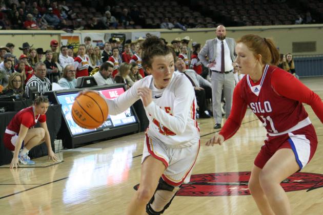 Dale Lady Pirates in the State Quarterfinals