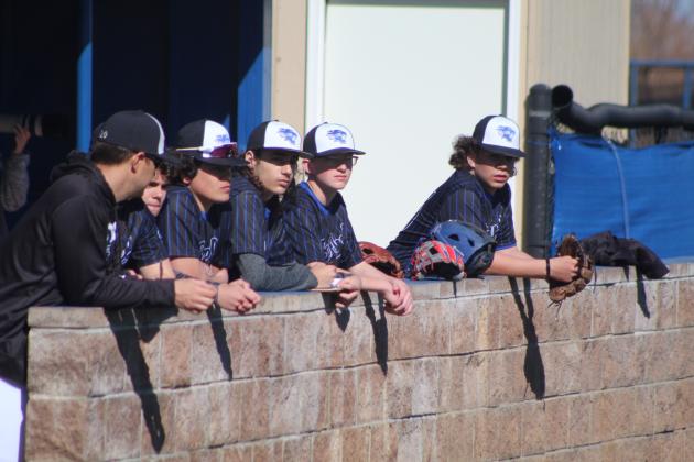 Watching from the Dugout