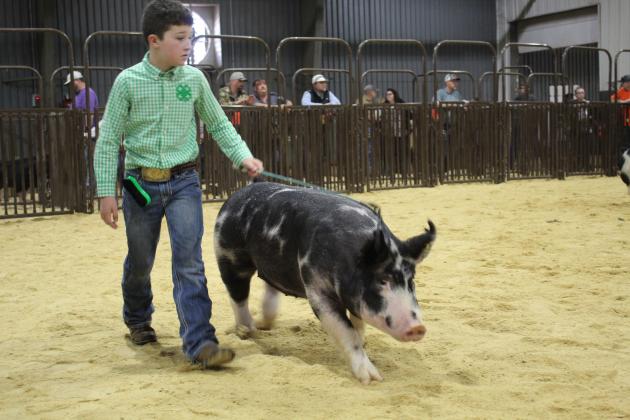 Micheal Pritchard shows his swine.
