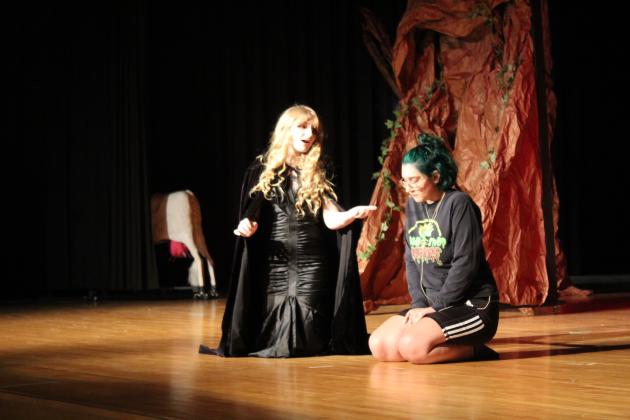 Into the Woods
