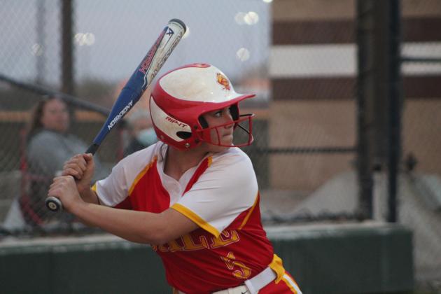 Dale Slowpitch