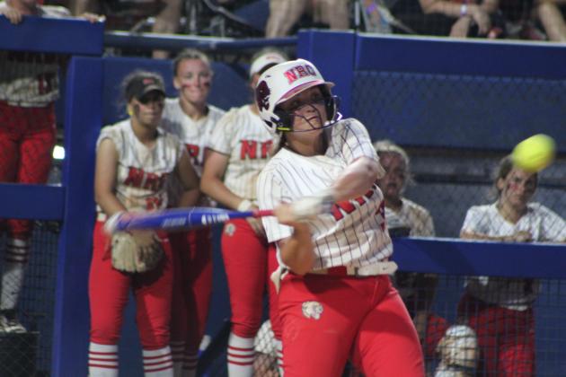 Lady Cougars Take State