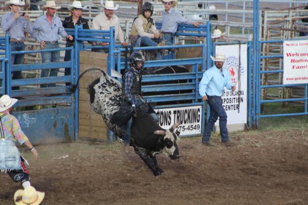 Carter High, of Weatherford, TX, makes a 71 in the first-round of Bull Riding during the IFYR on July 10 at the Heart of Oklahoma Expo Center.