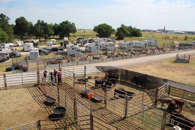 IFYR 2022