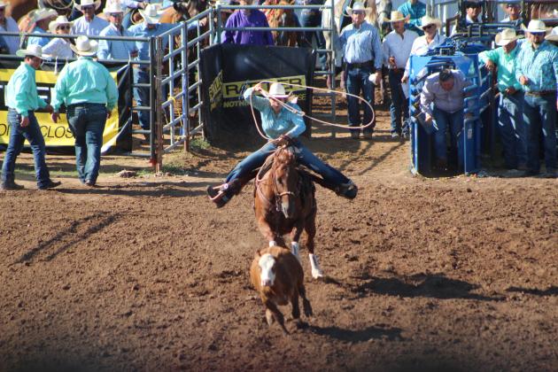 IFYR 2022