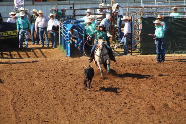 IFYR 2022