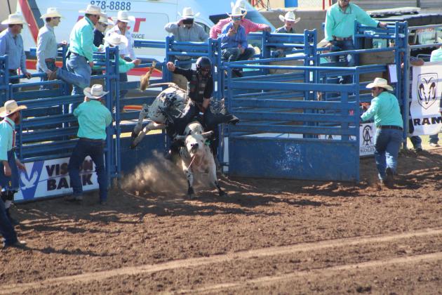 IFYR 2022