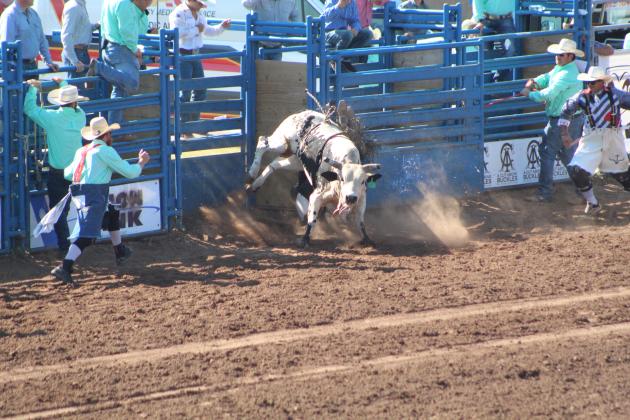 IFYR 2022