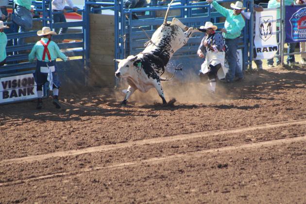 IFYR 2022