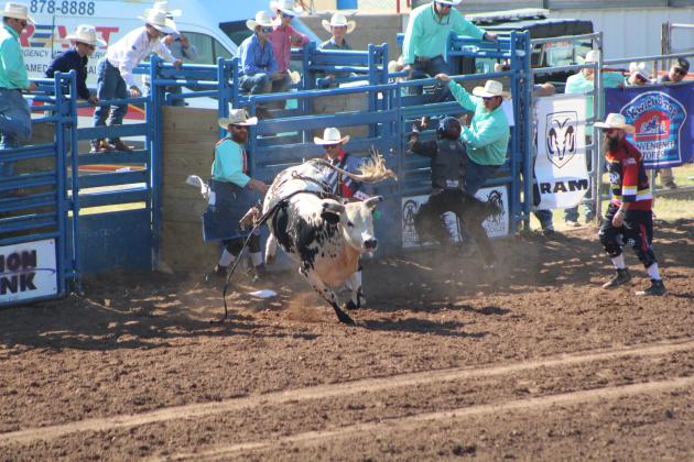 IFYR 2022