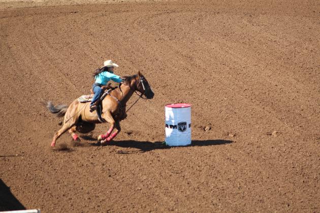 IFYR 2022