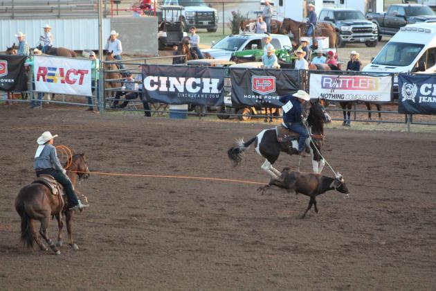 IFYR 2022