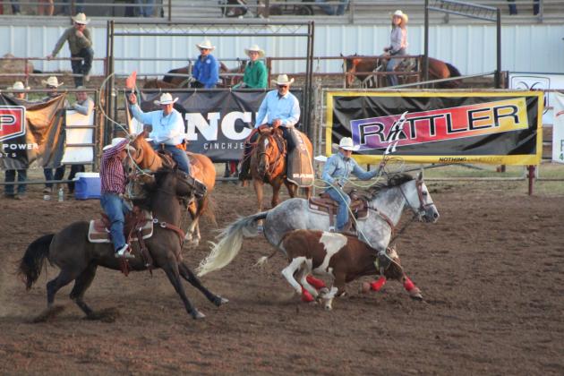 Cole Smith, of Amazonia, MO, right, ropes the horns of a calf as Catcher Gasperson, of Decatur, TX, aims at the calf's back legs during the finals of the IFYR Team Roping competition on July 15. Smith and Gasperson came out on top among the team ropers, each winning a saddle, belt buckle and cash payout. Countywide &amp; Sun/Natasha Dunagan
