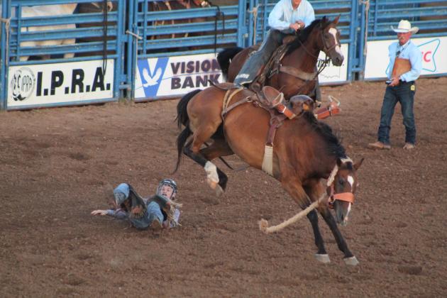 IFYR 2022