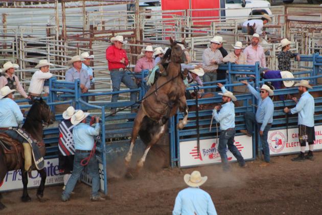 Parker Matthews, 15, of Huntsville, MO, charges out of the chute during the IFYR Saddle Bronc finals on July 15.