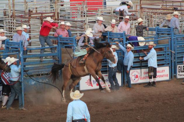 IFYR 2022